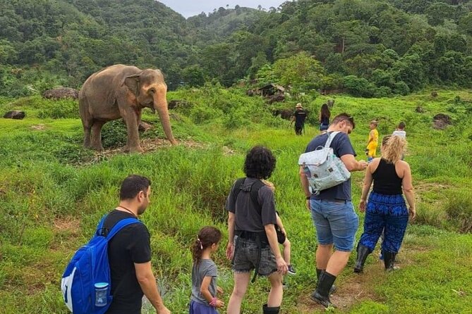 Phuket Best: City Tour & Elephant Park Experience