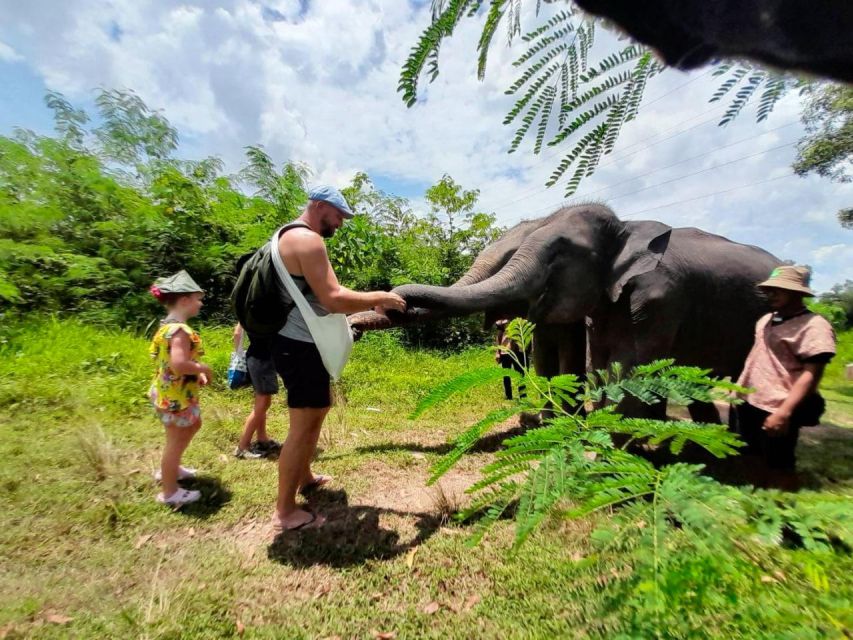 Phuket: Ethical Elephant Sanctuary Eco Guide Walk Tour - Overview of the Tour