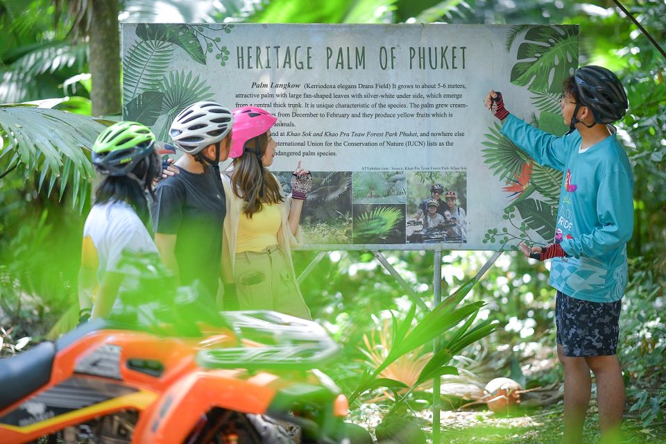 Phuket: Guided ATV Adventure - Unleash Your Inner Explorer - Powerful All-Terrain Vehicles