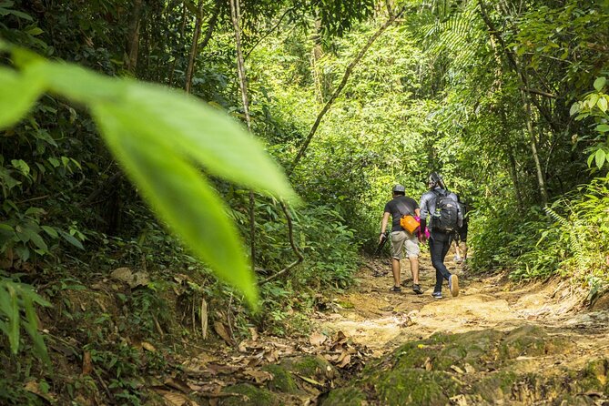 Phuket Jungle Trekking Experience at Khao Phra Taew National Park