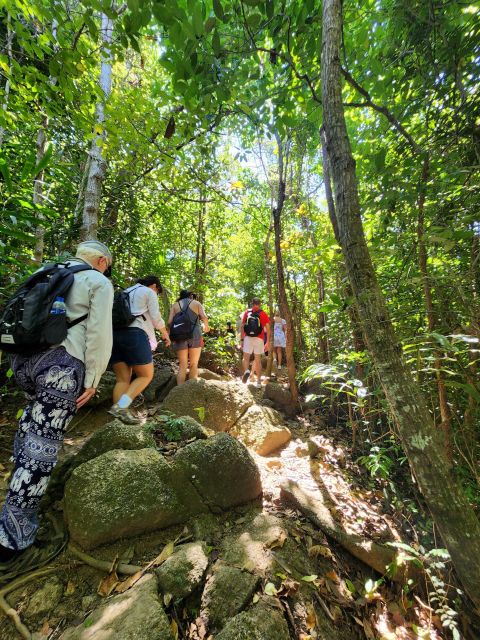 Phuket Lookouts Tour With Lunch at Organic Farm