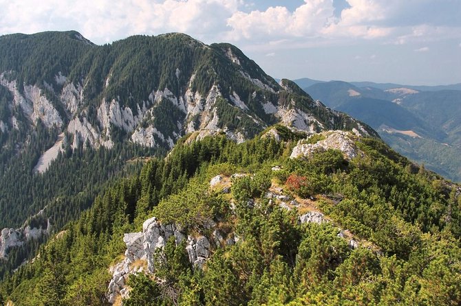 Piatra Craiului National Park Private Hiking Tour From Brasov - Overview of the Tour