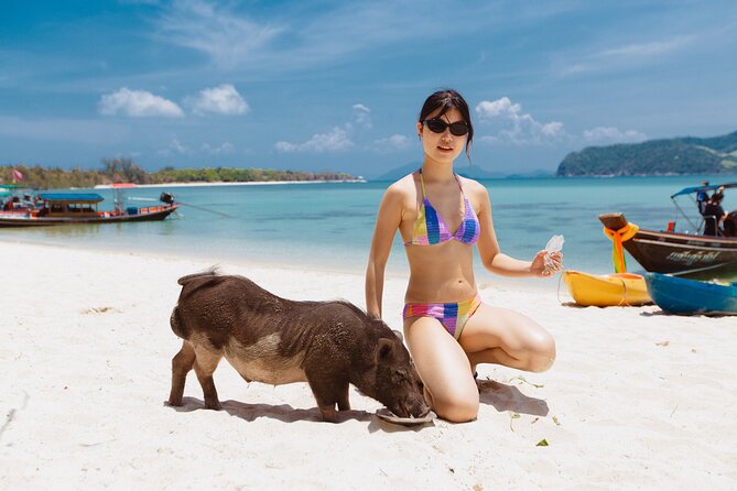 Pig Island Private Longtail Boat Trip From Koh Samui