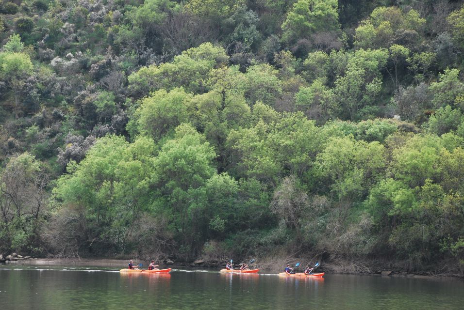 Pinhão: 4 Hour Douro Valley Kayak Rental