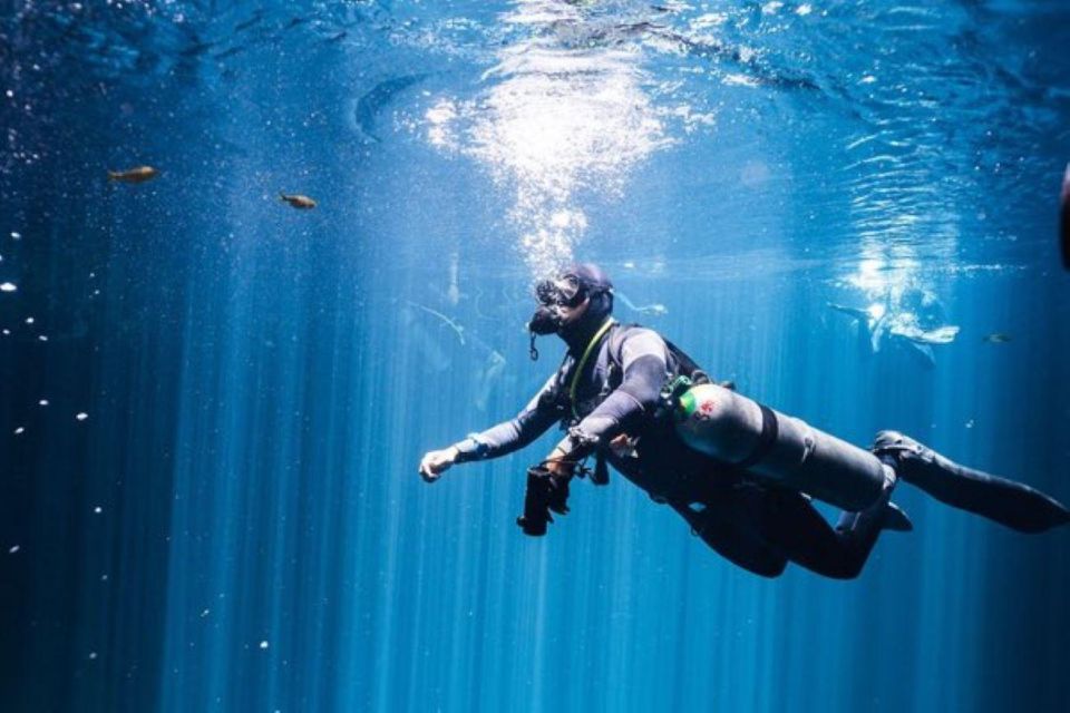 Playa Del Carmen: Discover the Depths of Dos Ojos Cenote