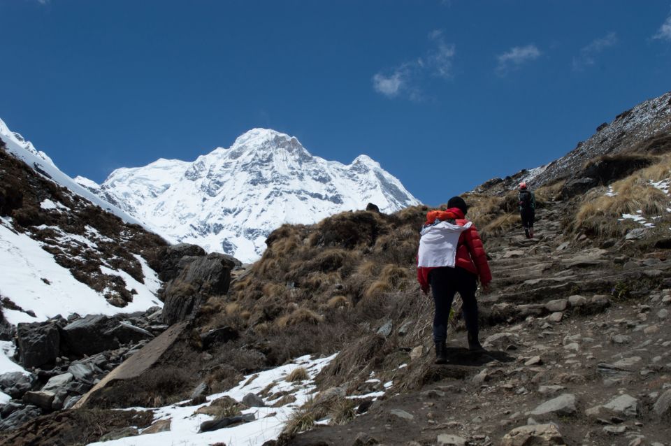 Pokhara: 5-Day Annapurna Base Camp Private Trekking Tour