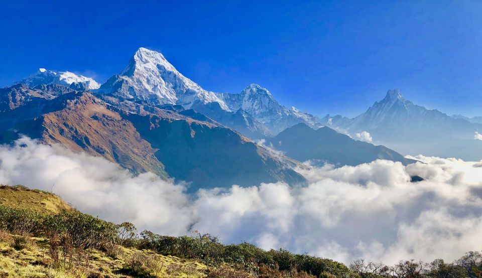 Pokhara: Annapurna Base Camp Trek- 8 Days