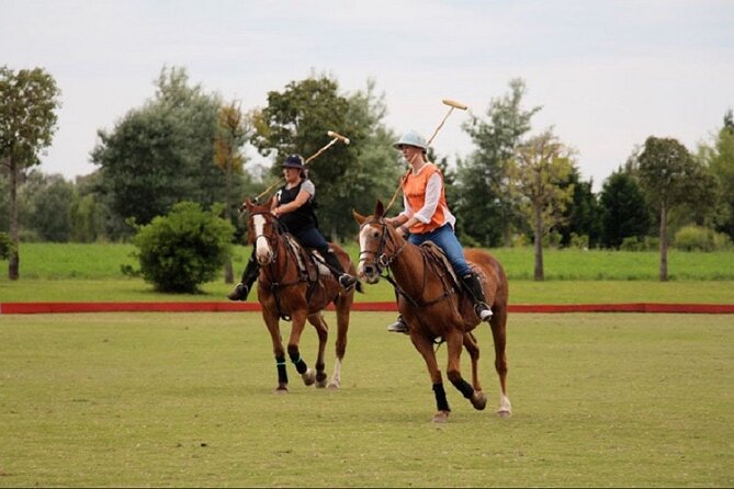 Polo Match, BBQ and Lesson Day-Trip From Buenos Aires - Overview of the Polo Experience