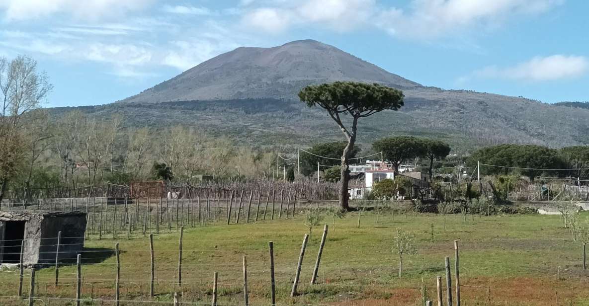 Pompeii and Wine Tasting Tour