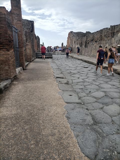 Pompeii Herculaneum and Oplontis With the Guide From Naples