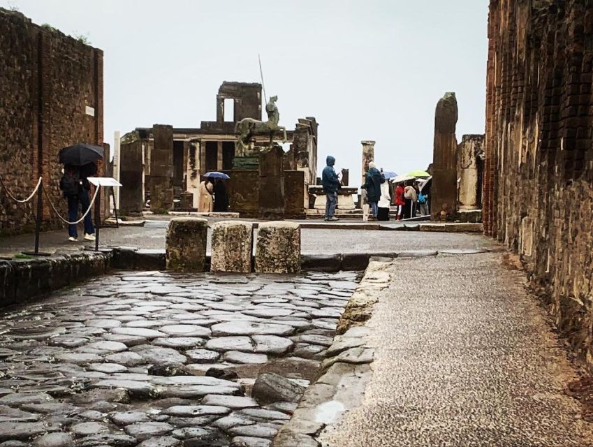 Pompeii in 2h and 30mnt: Walk With Local Guide