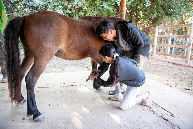 Pony Riding in Luang Prabang