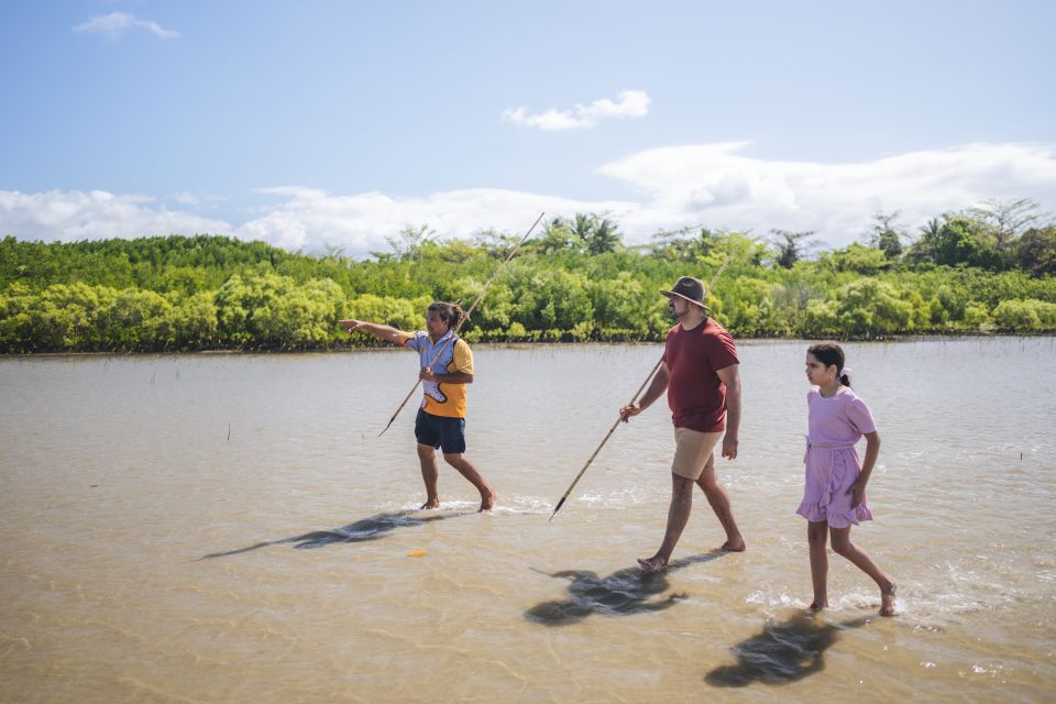 Port Douglas: Daintree Cultural Tour With Hotel Pickup