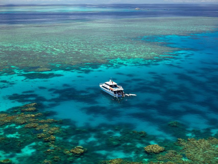 Port Douglas: Full-Day Outer Barrier Reef Dive and Snorkel