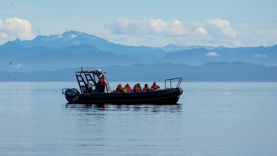 Port Hardy: Sea Otter and Whale Watching