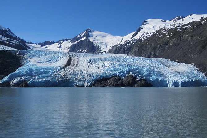 Portage Glacier Cruise and Wildlife Explorer Tour