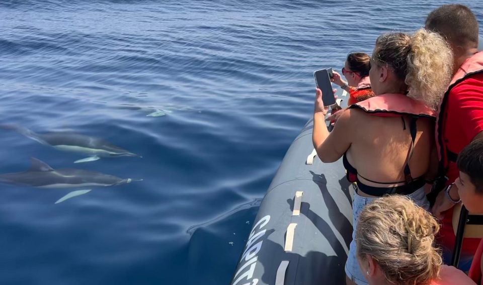 Portimão: Dolphins and Marine Life Boat Tour With Biologist