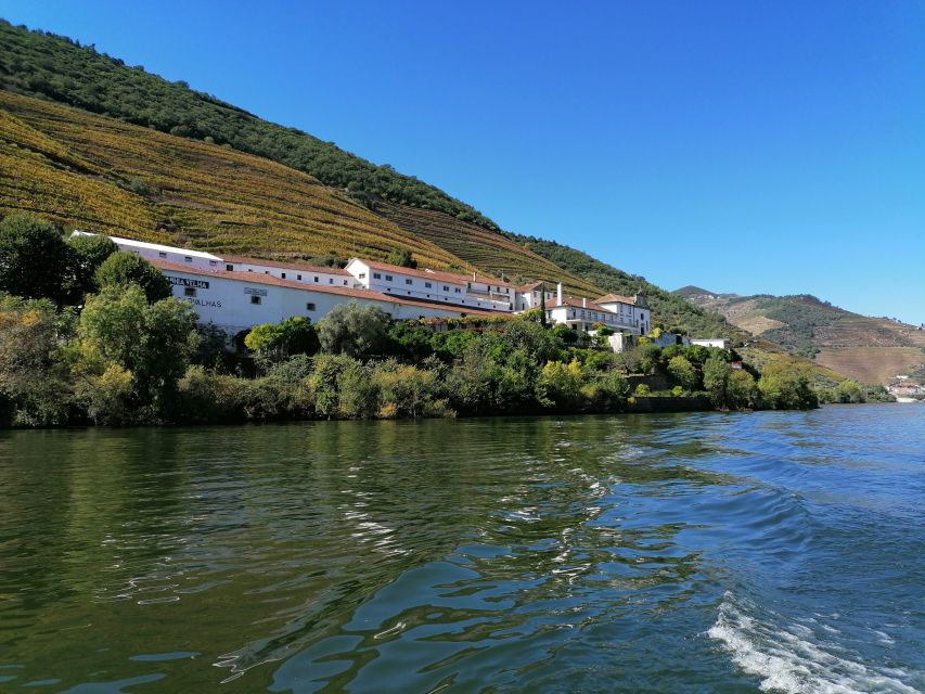 Porto: 2 Douro Valley Wineries Day Trip With River Cruise