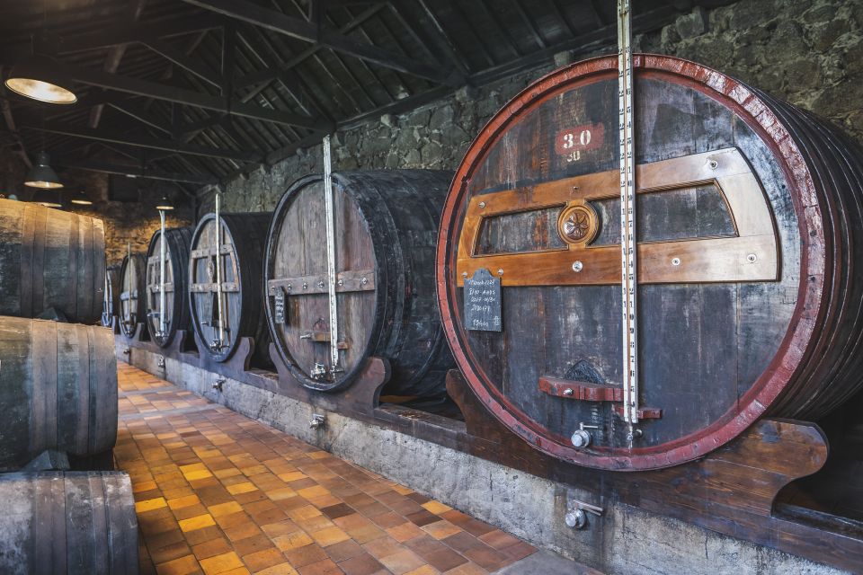 Porto: Burmester Cellar Tour With Tasting & Pairing Options