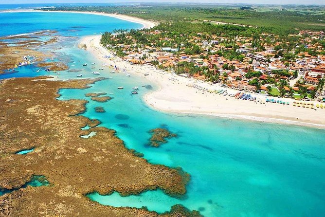 Porto De Galinhas Tour From Maragogi by Top Tours