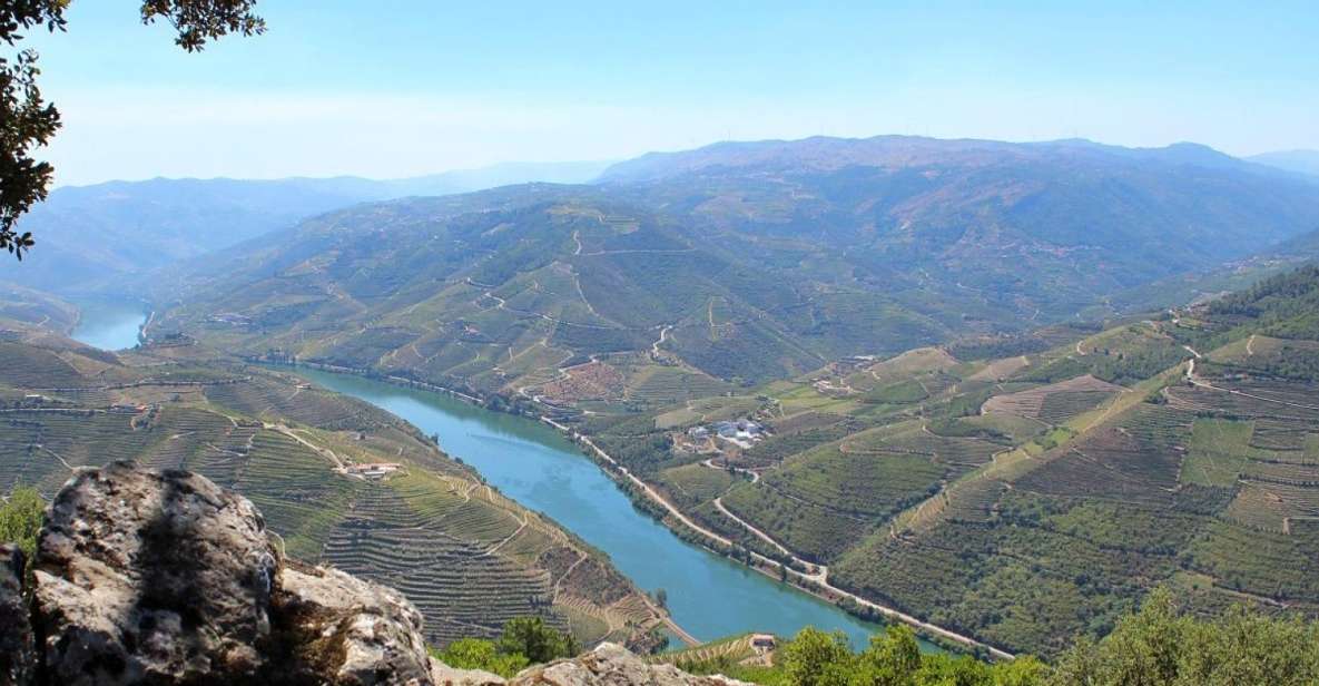 Porto: Douro Valley and Wine Tour With Cruise & Winery Lunch