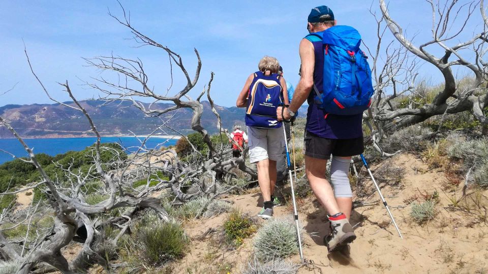 Porto Paglia: Tonnare Trail Guided Hiking Experience