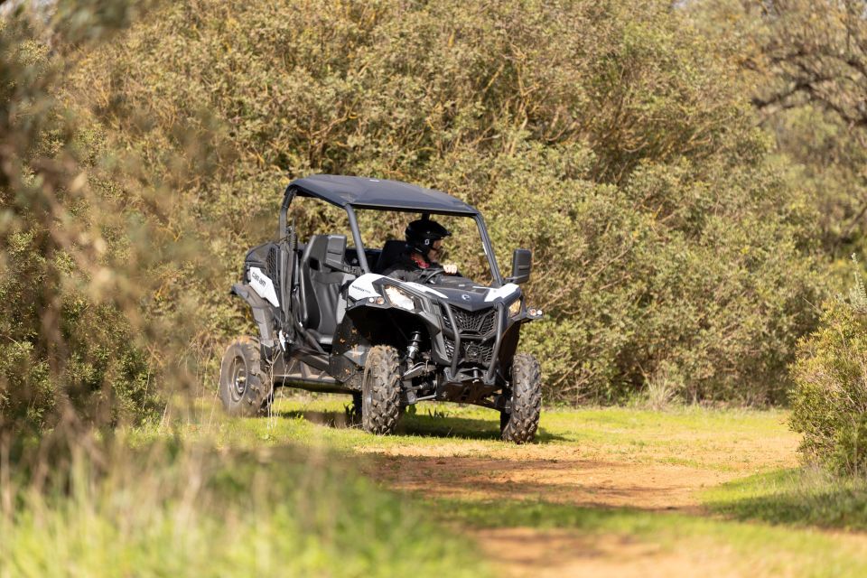 Porto Santo: 180 Minutes Off-Road Buggy Tour