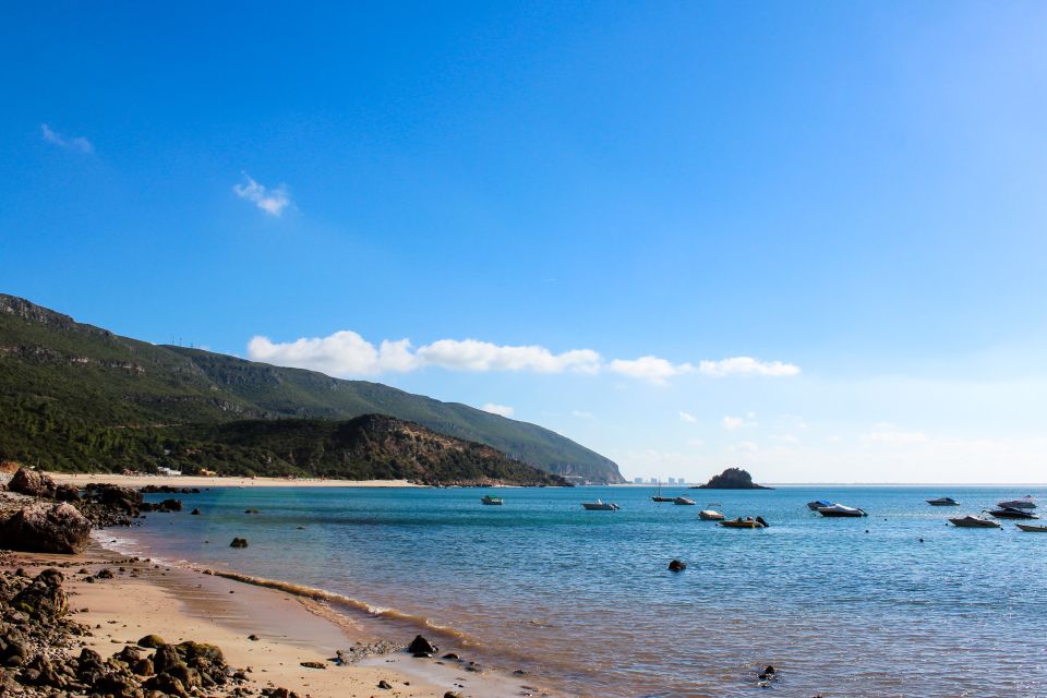 Portuguese Wine History & Amazing Landscape