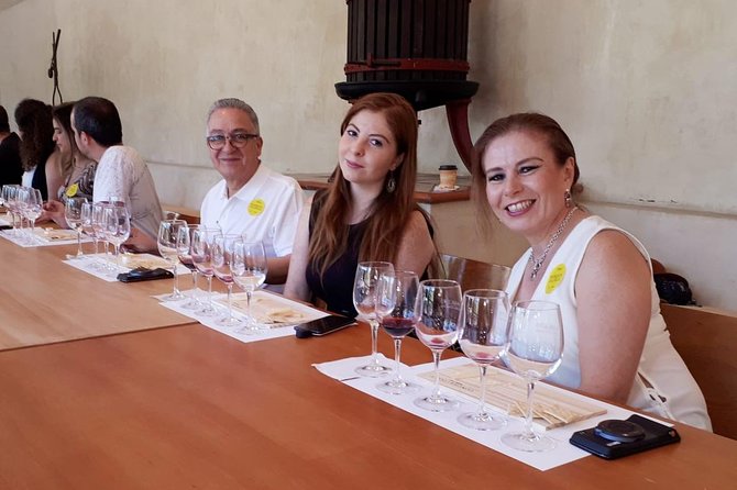 Premium Concha Y Toro Winery Tour With Wine and Cheese Tastings From Santiago