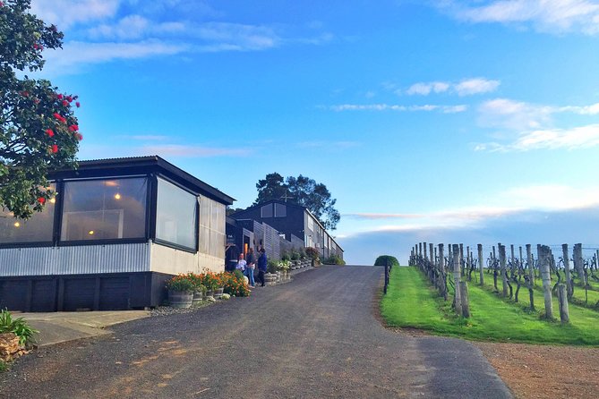 Premium Full Day Waiheke Wine Tour - Tour Overview and Highlights