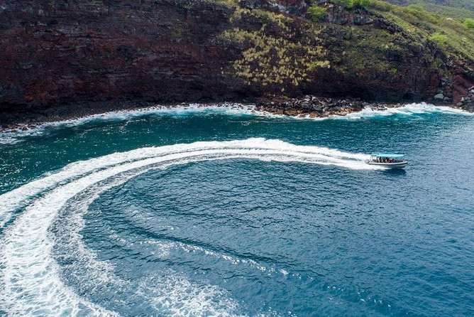 Premium Kona Coast Morning Snorkel