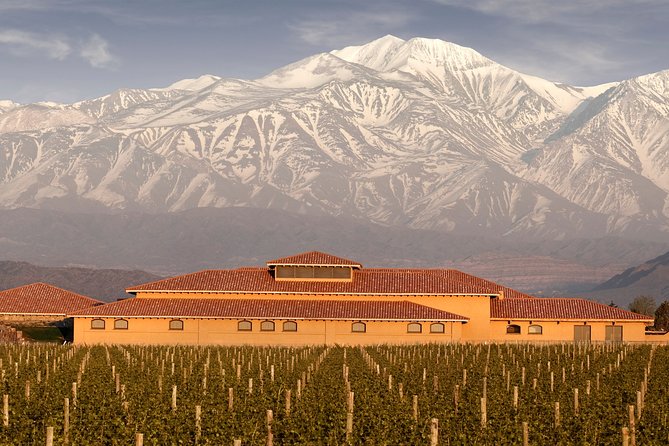 Premium Luján De Cuyo Wine-Tasting Tour in a Small Group