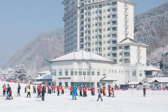 Private 1:1 Ski Lesson Near Seoul, South Korea - Overview of the Ski Lesson