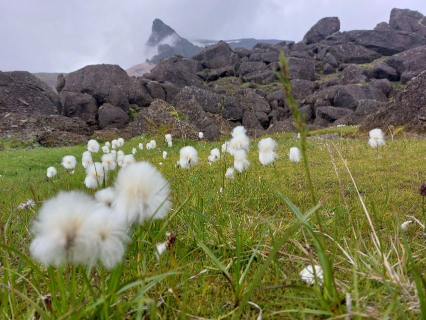 Private 12 Hour Jeep Tour in Landmannalaugar From Reykjavik