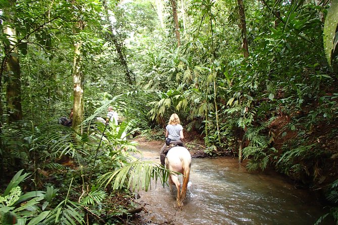 Private and Customized Horseback Riding Adventures