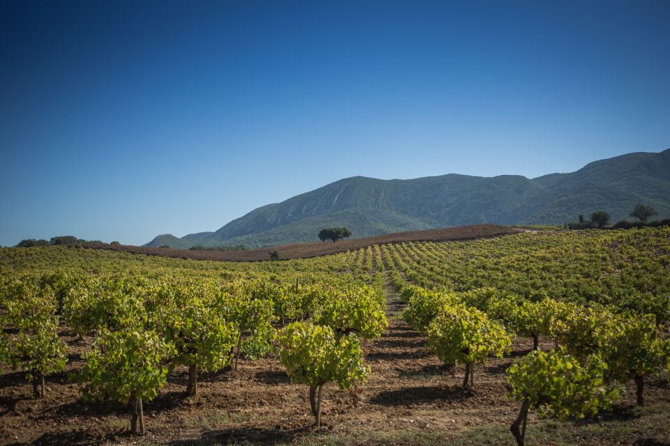 Private Arrábida Wine Tour