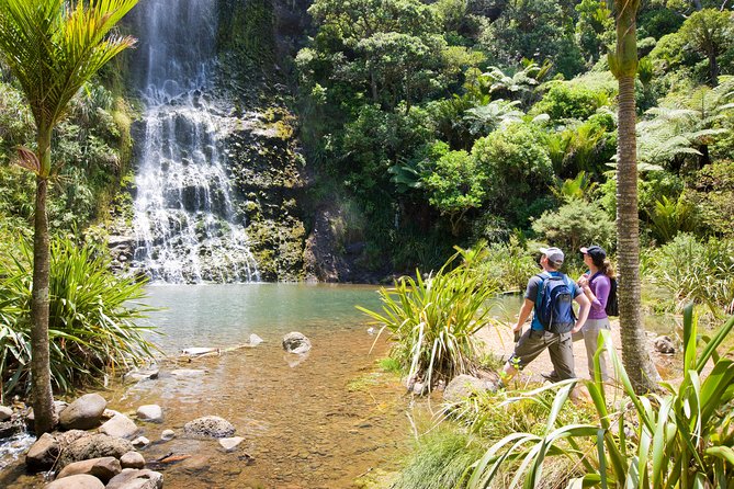 Private Auckland West Coast Day Tour