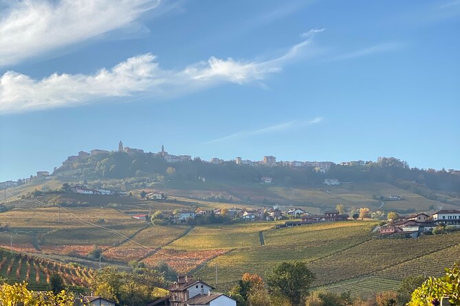 Private Barolo / Barbaresco – Piedmont Wine Tours and Tastings