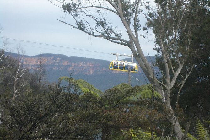 PRIVATE Blue Mountains 1 Day Tour With Wildlife Park & River Cruise