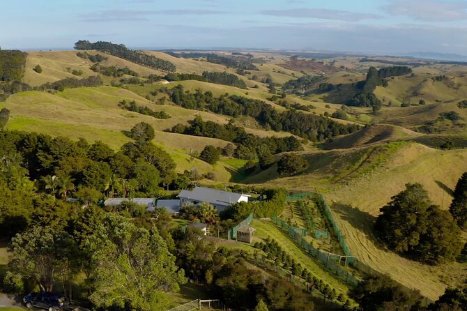 Private Coffee Farm Tour in Doubtless Bay