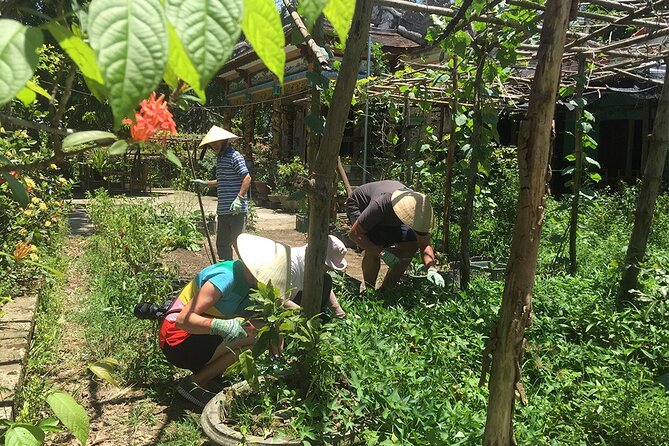 Private Cycling Tour in Rural Hue With Farming Experience