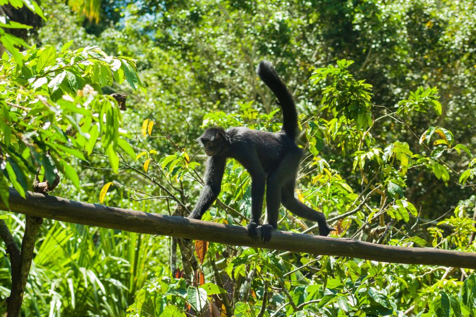 Private Day Tour: Cuc Phuong National Park From Hanoi