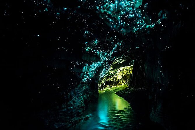 Private Day Trip To Waitomo Glow Warm Cave