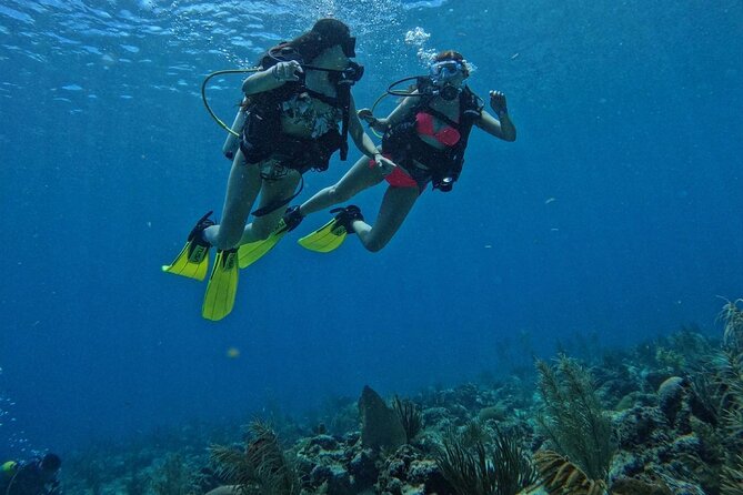 Private Diving Experience for Beginners in San Andres Islands - Overview of the Experience