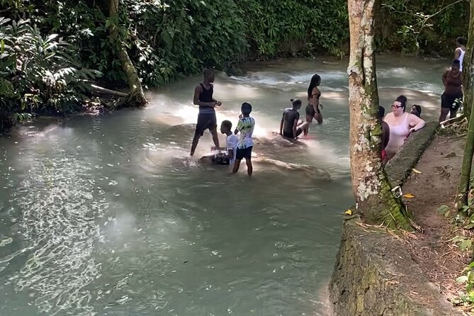 Private Dunns River Falls and Horse Back Riding