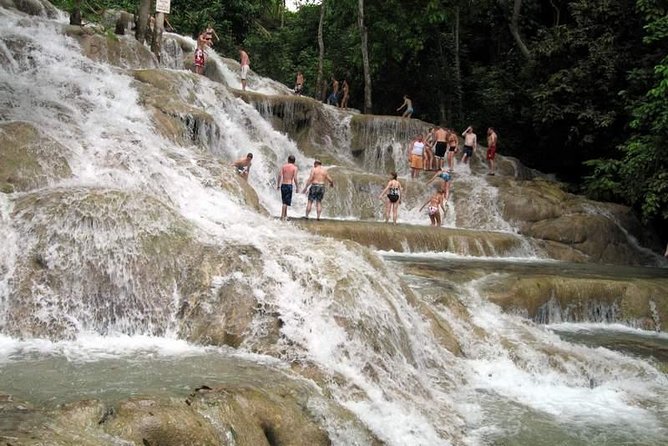 [Private] Dunns River Falls With Entrance Fees