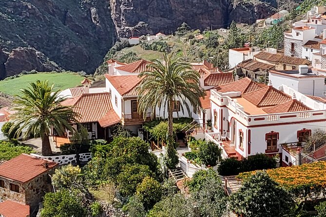 Private Excursion the Mountains of Gran Canaria for 2 to 4 People