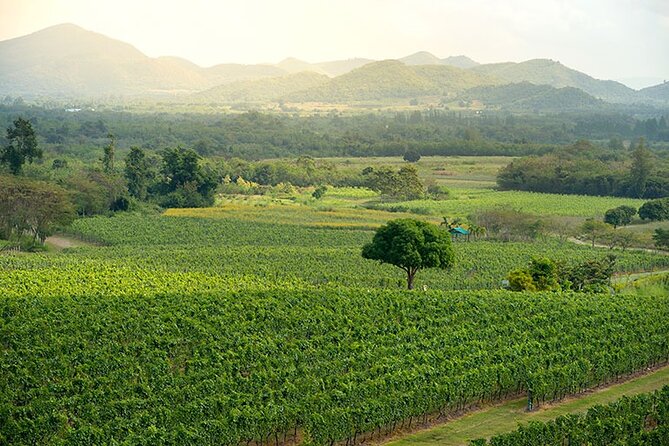 Private Experience of Wine Tasting Hua Hin in Monsoon Valley - Overview of the Experience