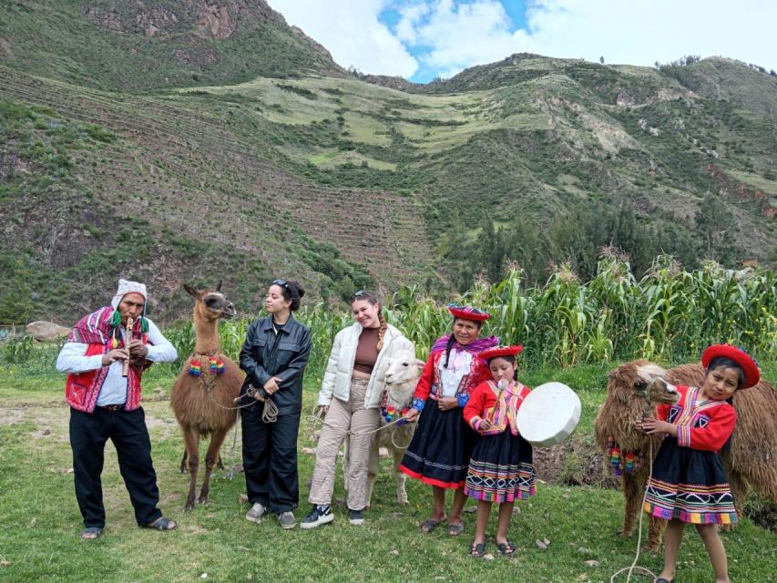 Private From Cusco| Alpaca Therapy + Creative Craftsmanship