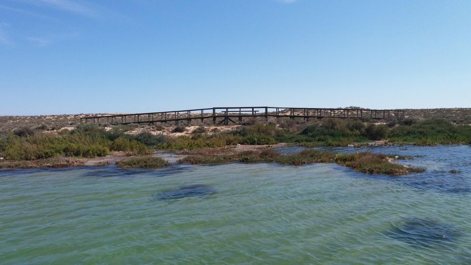 Private Full Day Islands Catamaran Tour From Faro